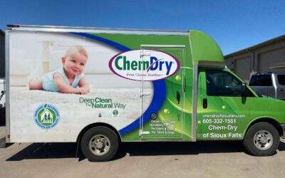 Proper Carpet Care Tips From an Expert