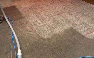 How to Find Reliable Carpet Cleaning Services