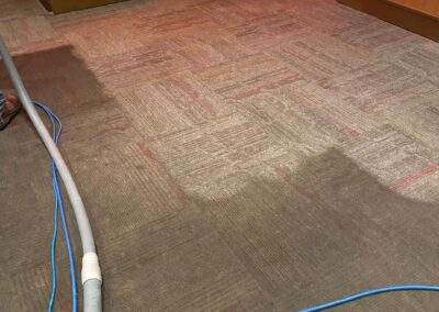 carpet cleaning in progress