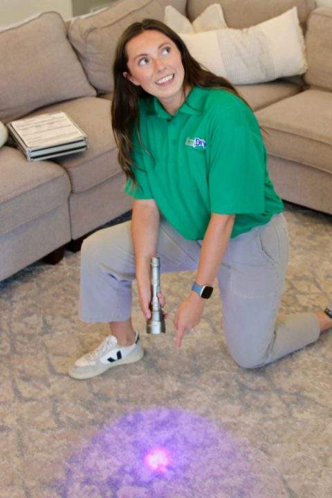 3BB26FFA-7AB2-4FF4-82B7-D200EDFA8437_1_201_a Chem-Dry carpet cleaning tech using uv flashlight to show pet urine stain