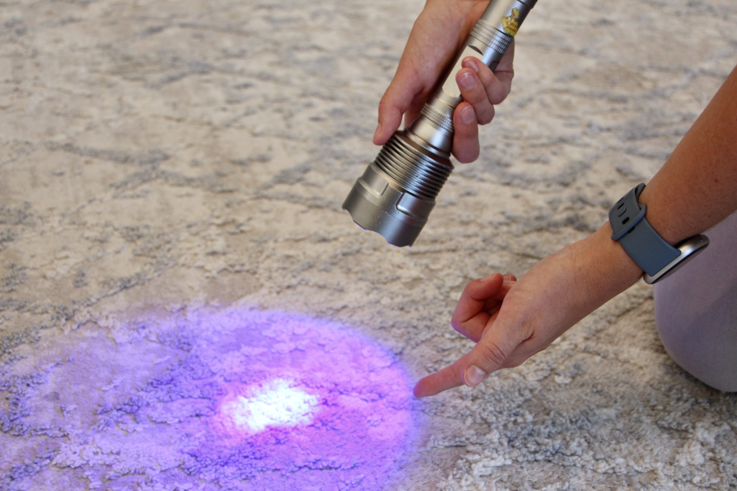 carpet cleaning technician