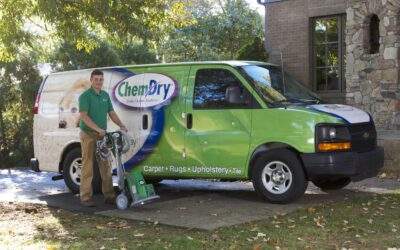 Your Carpet Cleaner Can Do More Than You Think