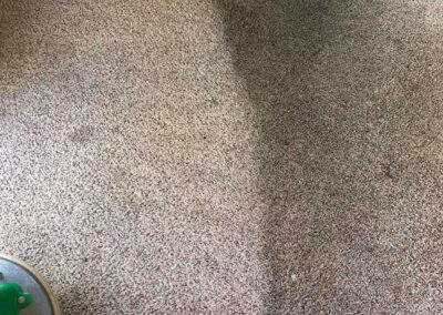 before and after carpet cleaning