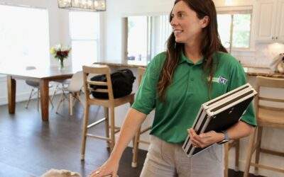 Carpet Cleaning: Your Seasonal Reminder