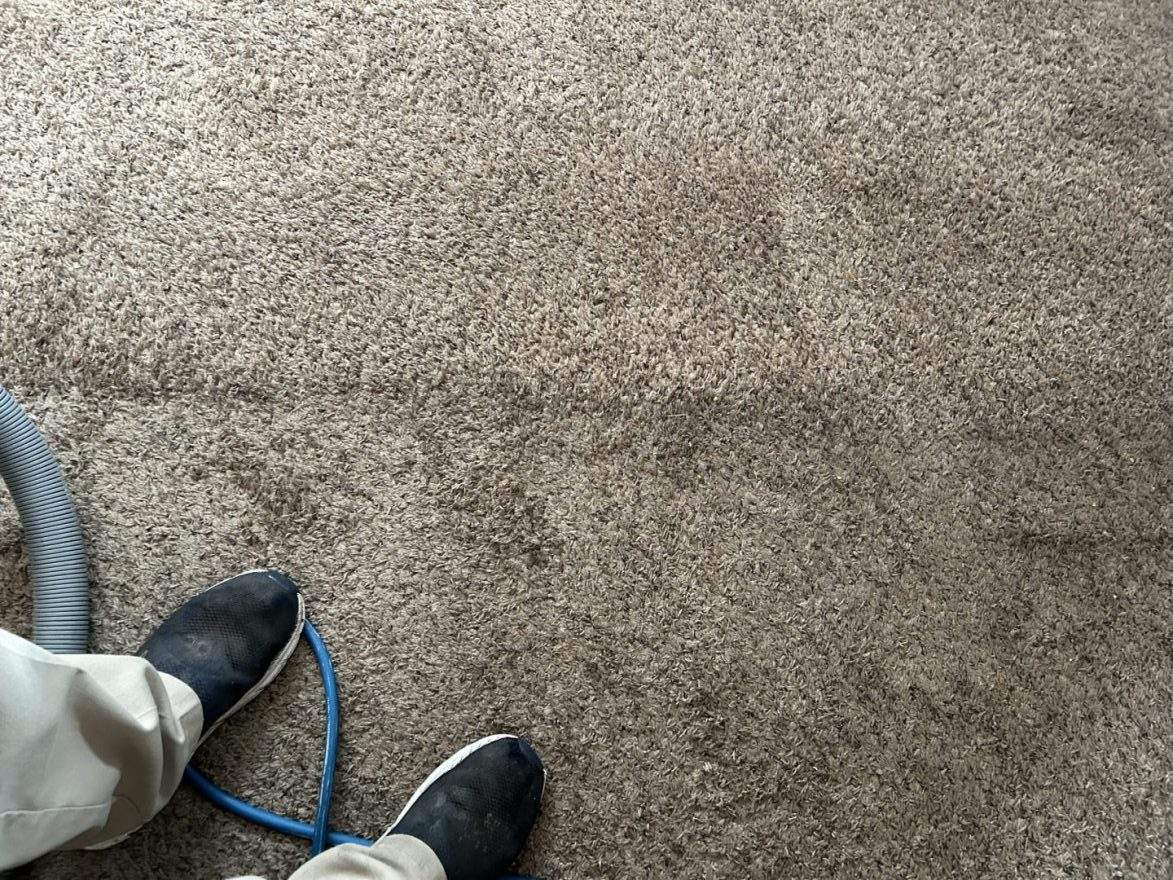 IMG_0056 (1) carpet cleaning before and after