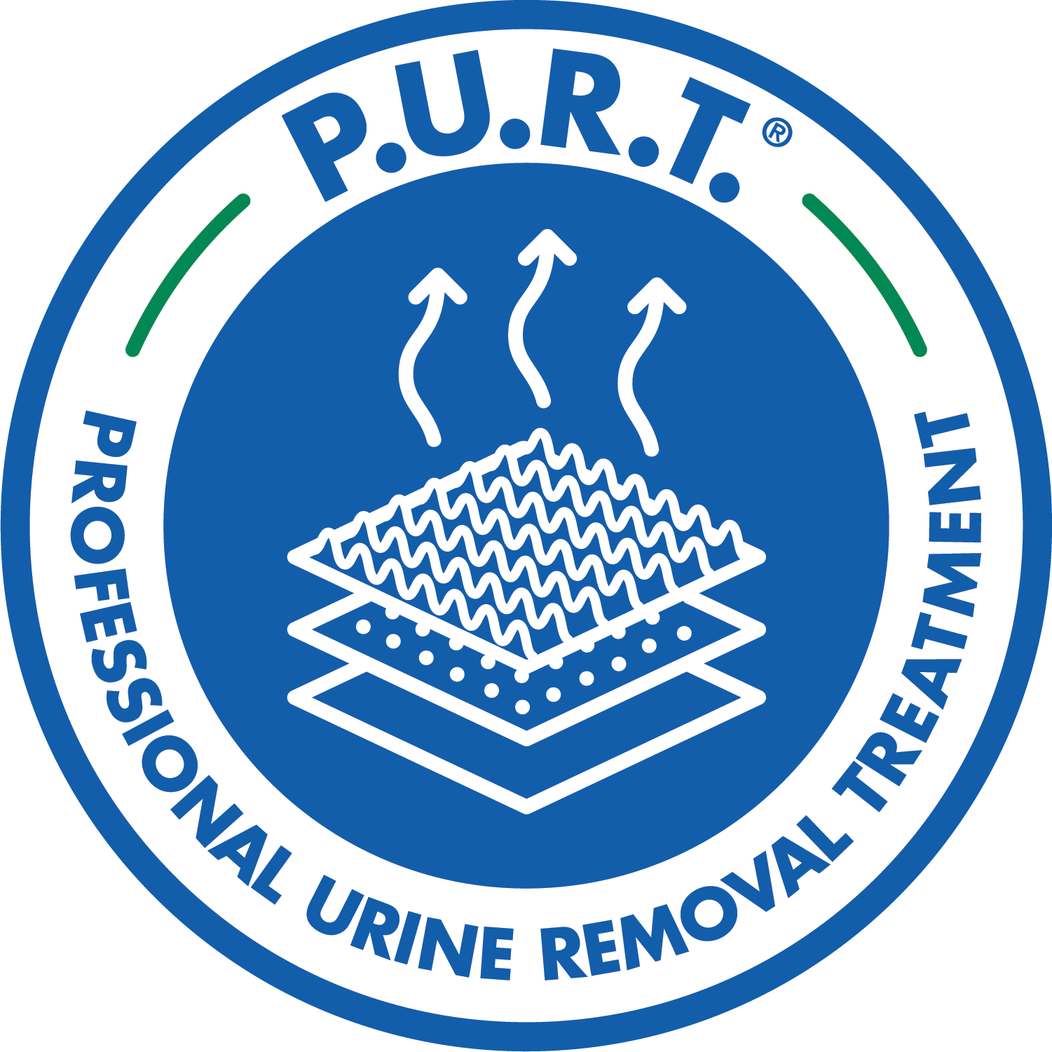 professional urine removal treatment