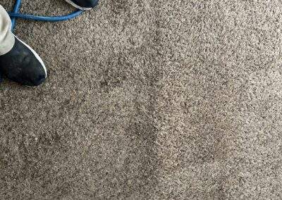 before and after carpet cleaning