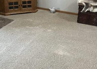 carpet cleaning in living room