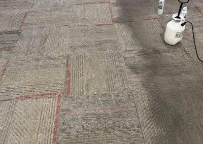 the difference of carpet cleaning for businesses