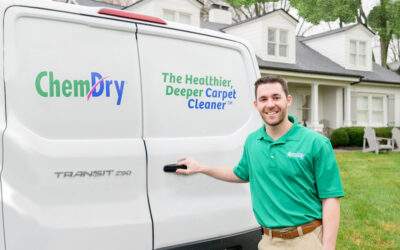 Hiring a Carpet Cleaner: What to Know