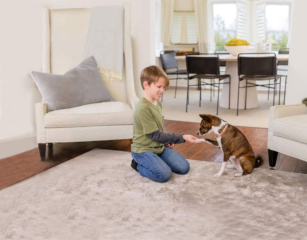 Boy_dog_Rug_2023-43152 (1) boy with dog on rug