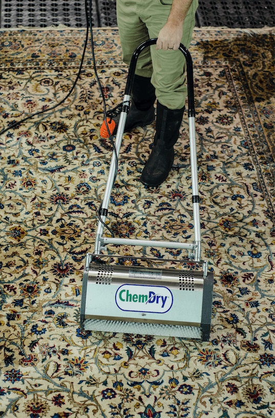 Technician Image 3 (2) cleaning an area rug