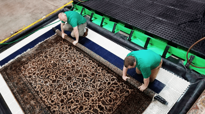 chem-dry rug cleaners